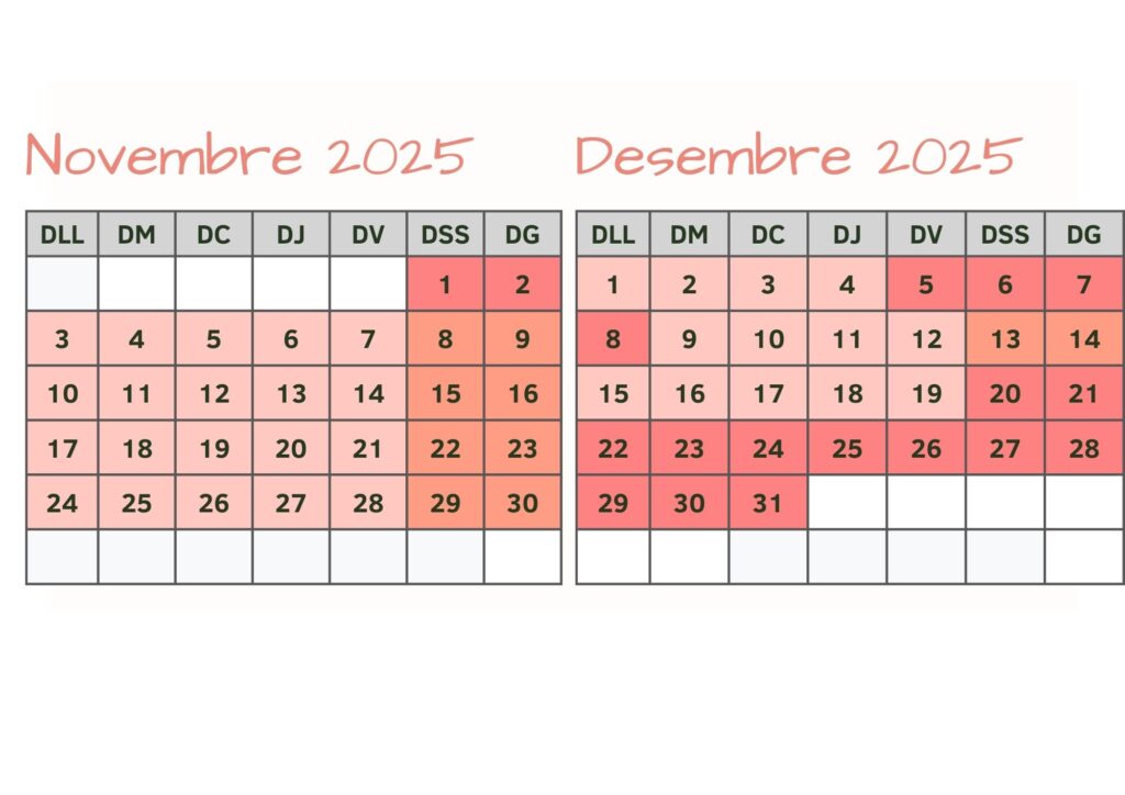 noviembre-diciembre25